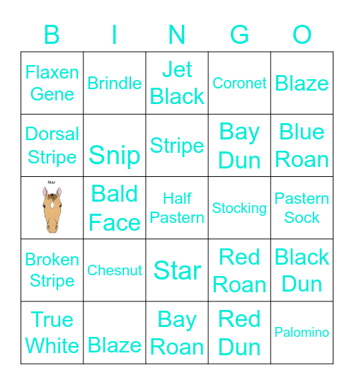 Colors & Markings Bingo Card