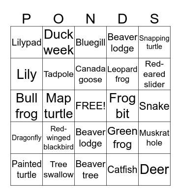 Pond Walk Bingo Card
