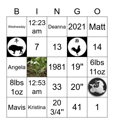 Birthday BINGO! Bingo Card