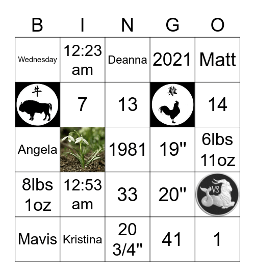 Birthday BINGO! Bingo Card