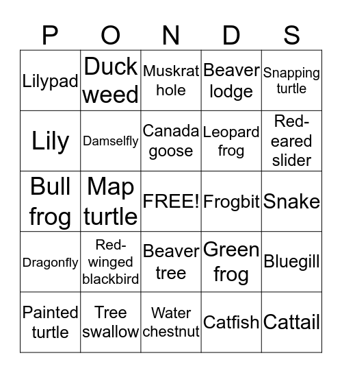 Pond Walk Bingo Card