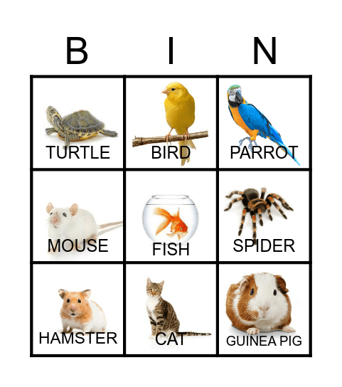 PETS Bingo Card