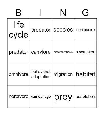 Animal Vocabulary Bingo Card