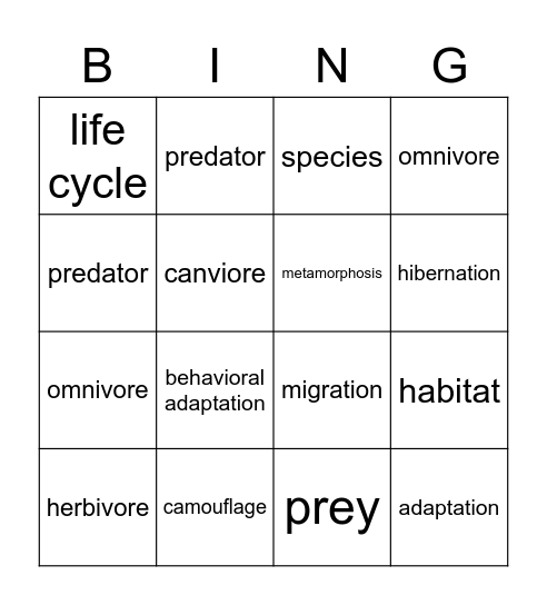 Animal Vocabulary Bingo Card