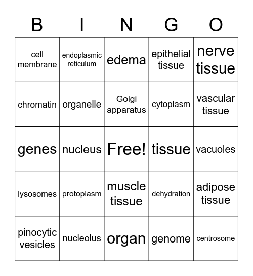 BASIC STRUCTURE OF THE HUMAN BODY Bingo Card