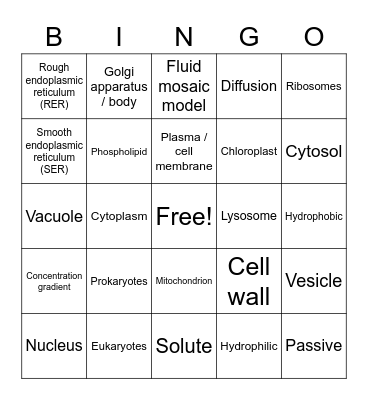 Cells and Organelles Bingo Card