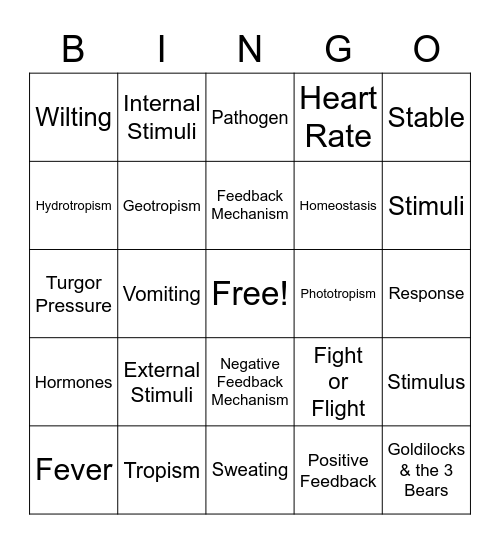 Unit 13 Bingo! Bingo Card