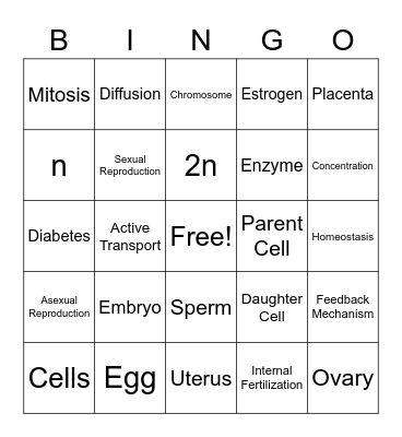 Review Bingo Card