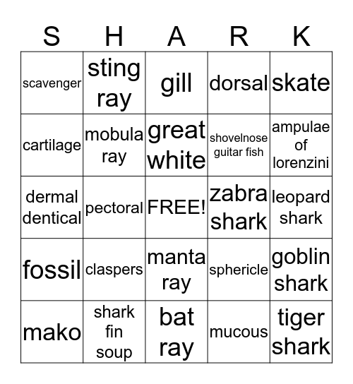 Sharks, Rays and Skates Bingo Card