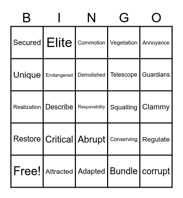 Vocabulary Bingo! Bingo Card