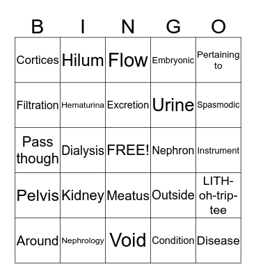 Urinary System Bingo Card