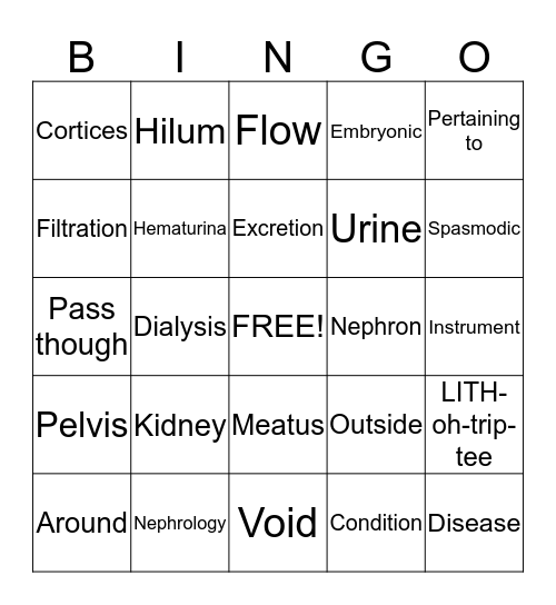 Urinary System Bingo Card