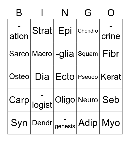 Anatomy Term Builder Key Terms 4 6 Bingo Card