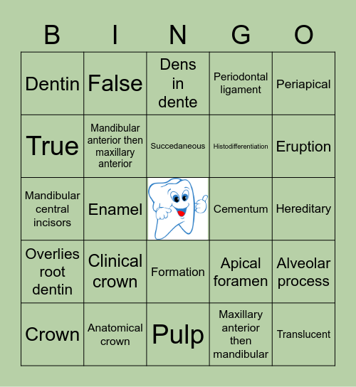 Ch.8 Life Cycle of a Tooth Bingo Card