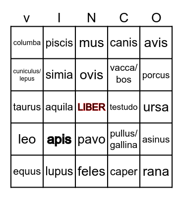 A N I M A L I A Bingo Card