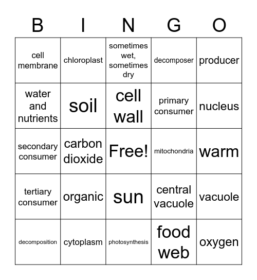 Unit 4 Science Bingo Card