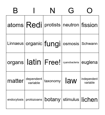 Science Bingo Card