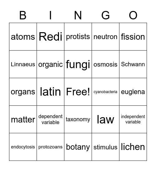 Science Bingo Card