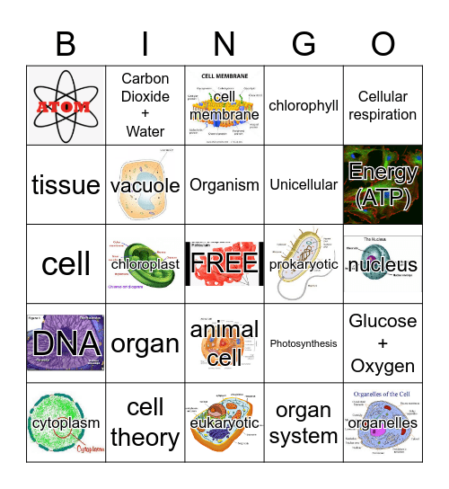 CELL BINGO Card