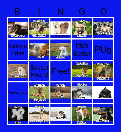 Types of Dogs Bingo Card