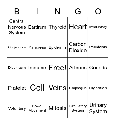 Body Structure & Function Bingo Card