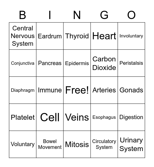 Body Structure & Function Bingo Card
