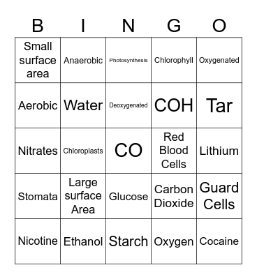 Bioenergetics Bingo Card
