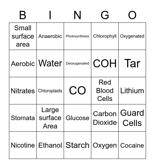 Bioenergetics Bingo Card