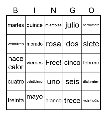 Español Bingo Card