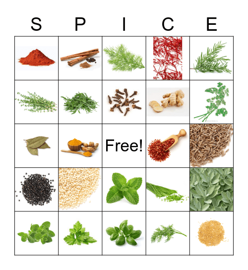 SPICE/HERB BINGO Card