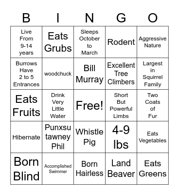 Ground Hog Day Bingo Card