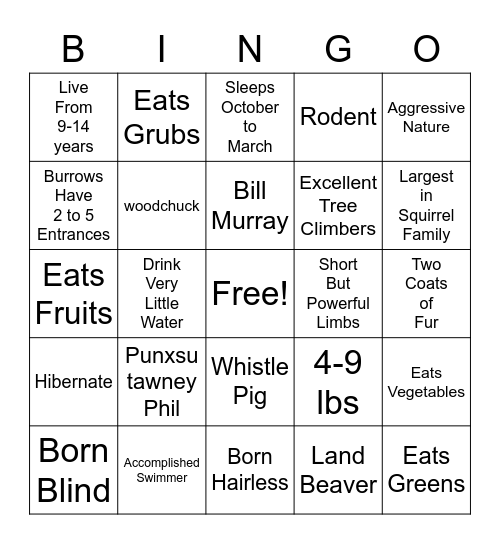 Ground Hog Day Bingo Card