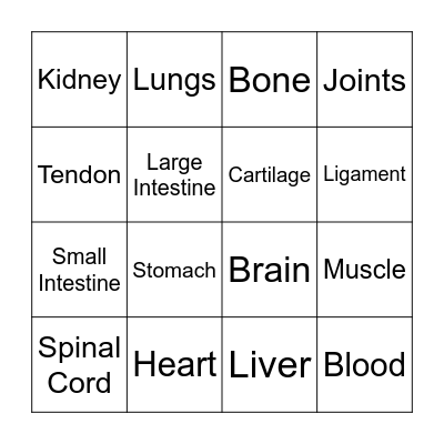 Body Systems BINGO Card