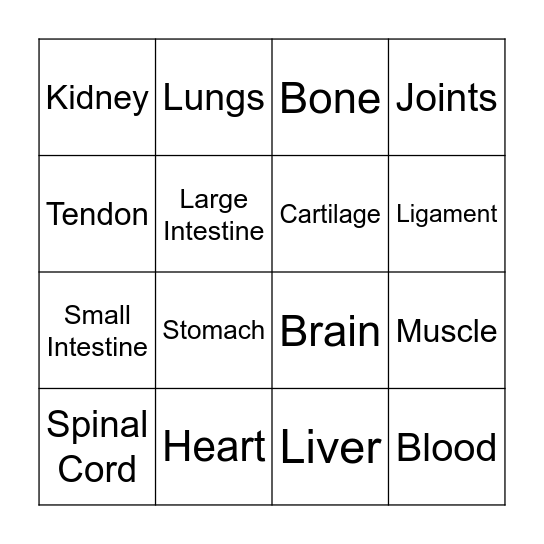 Body Systems BINGO Card