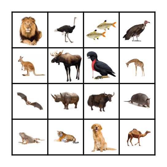 Animal Bingo Card