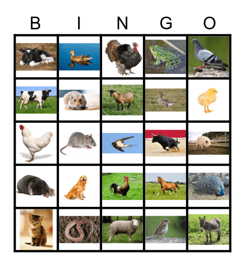 Dieren Bingo Card