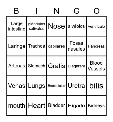 The Body System Bingo Card