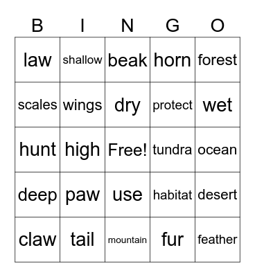 vocabulary Bingo Card