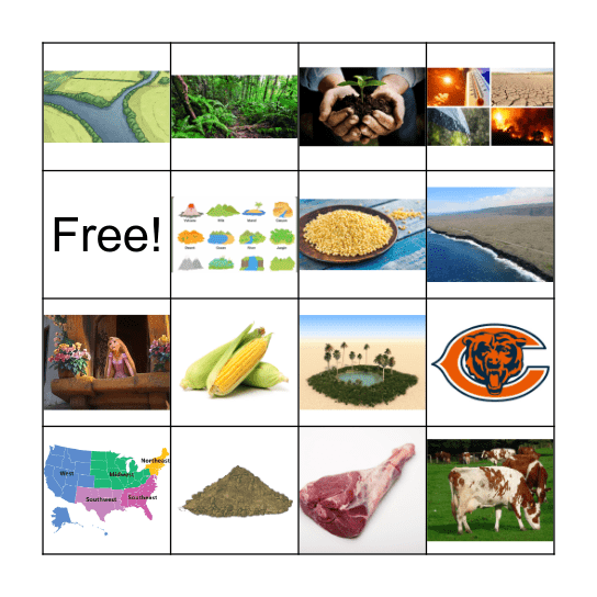 Chapter 19: China Picture Vocab Bingo Card
