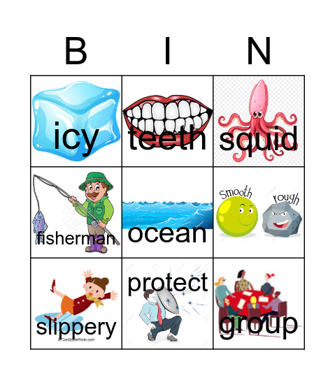 Dolphins Bingo Card