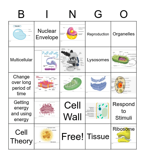 CELL Basics and Organelles Bingo Card