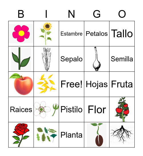 Parts of a Plant and Flower Bingo Card