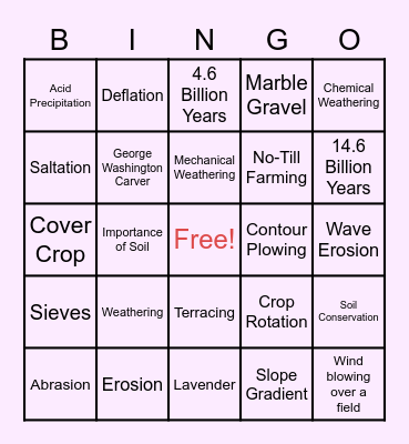 Weathering and Erosion Bingo Card