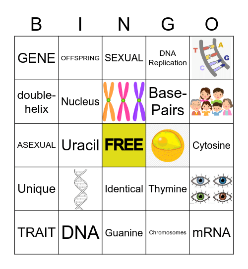 Intro to Genetics Bingo Card