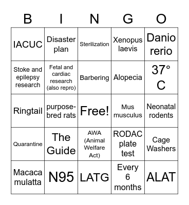 Tech Week Trivia Bingo! Bingo Card