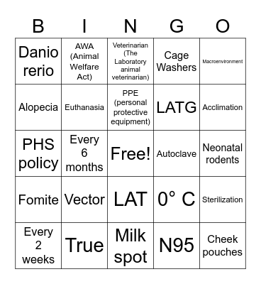 Tech Week Trivia Bingo! Bingo Card