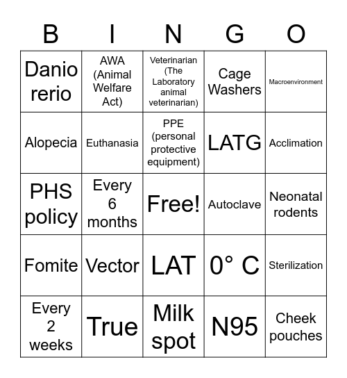 Tech Week Trivia Bingo! Bingo Card