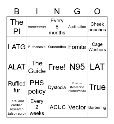 Tech Week Trivia Bingo! Bingo Card