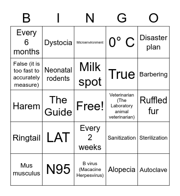 Tech Week Trivia Bingo! Bingo Card