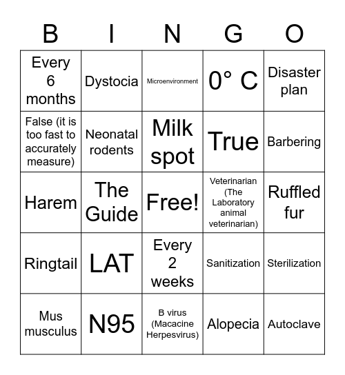 Tech Week Trivia Bingo! Bingo Card